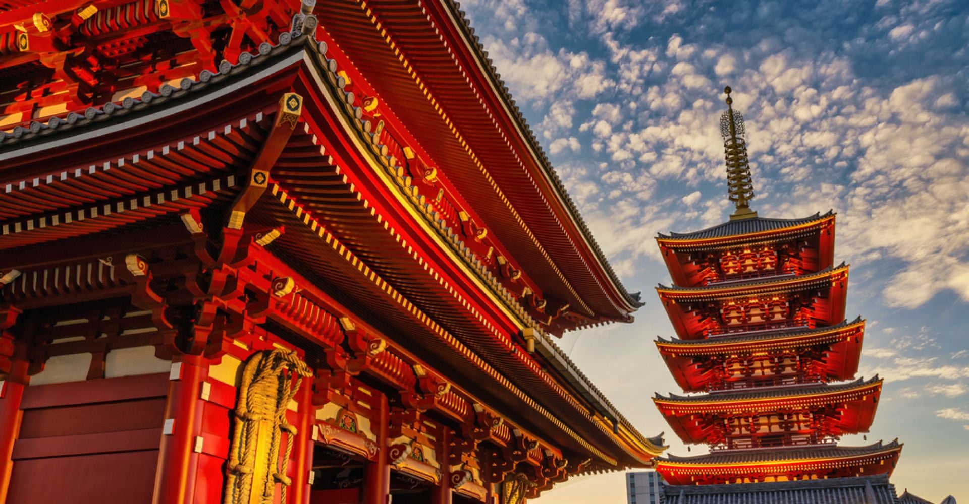 A 12-Day Japan Itinerary for Families and first-time visitors through Tokyo, Kyoto, Nara & Osaka