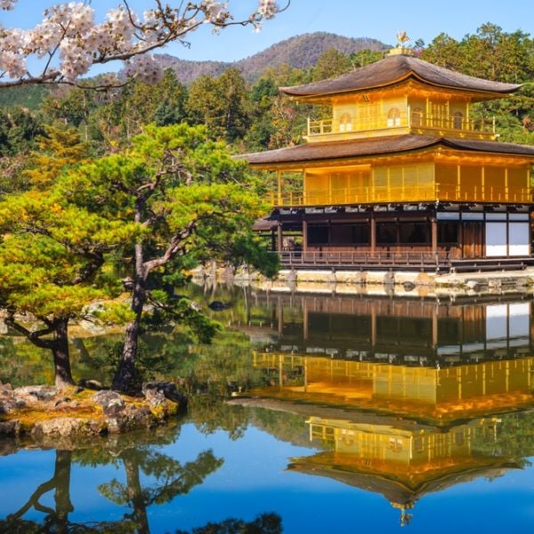 A 12-Day Japan Itinerary for Families and first-time visitors through Tokyo, Kyoto, Nara & Osaka