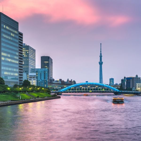 A 12-Day Japan Itinerary for Families and first-time visitors through Tokyo, Kyoto, Nara & Osaka
