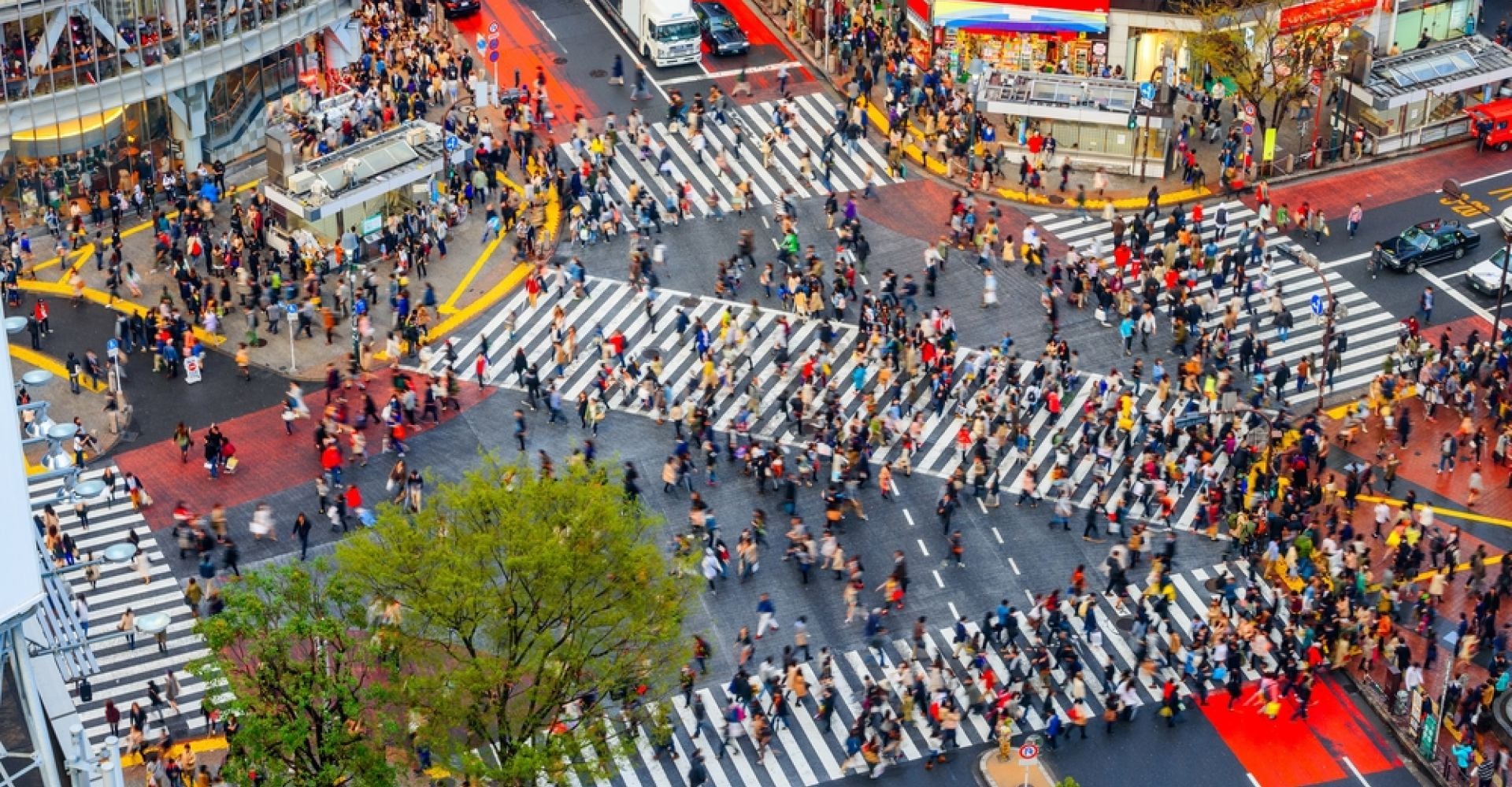 Japan by Cultural Craft, Cuisine & Ancient Roads: A 13-Day Journey from Tokyo to Kyoto & Osaka