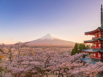 Japan in Spring: Cherry Blossoms, Adventure & Timeless Beauty in 10 Days