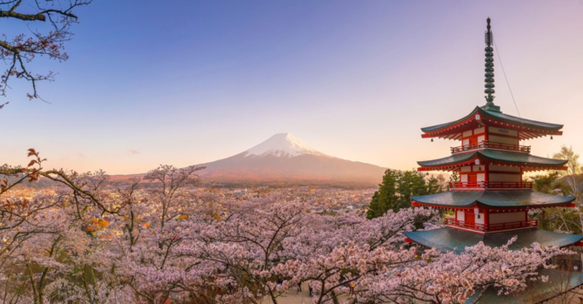 Japan in Spring: Cherry Blossoms, Adventure & Timeless Beauty in 10 Days