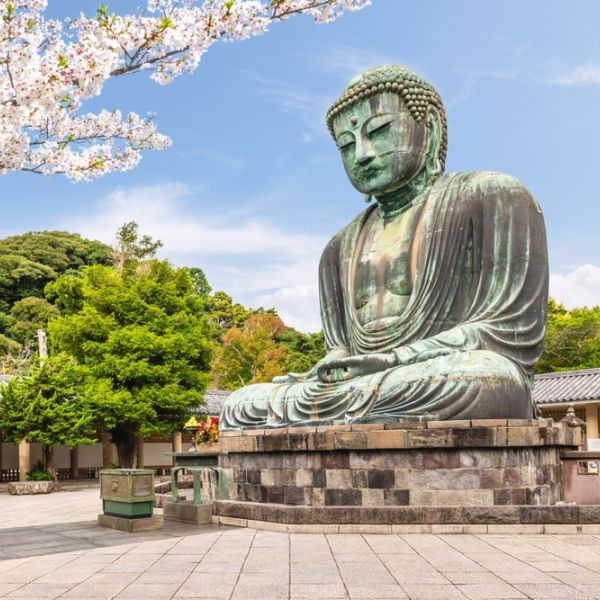 Japan in Spring: Cherry Blossoms, Adventure & Timeless Beauty in 10 Days