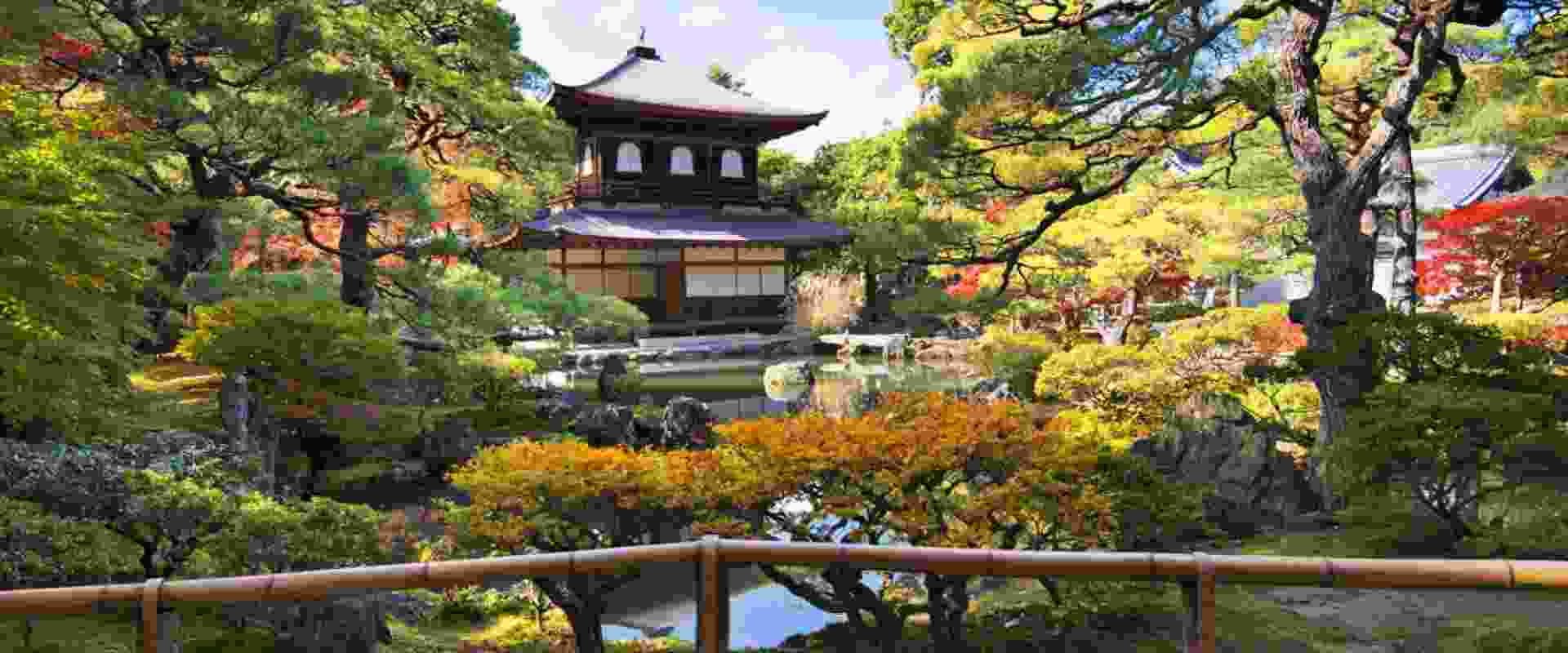 Japan Nature & Wildlife