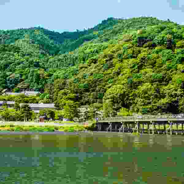 Japan by Taste: A 10-Day Culinary Journey from Tokyo to Kyoto, Osaka & Kobe
