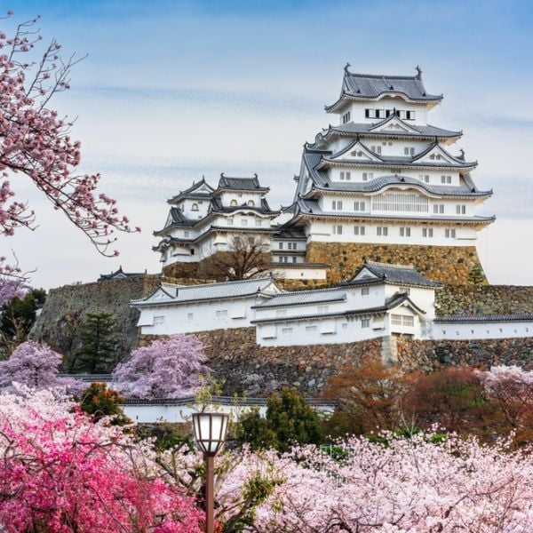 Japan by Taste: A 10-Day Culinary Journey from Tokyo to Kyoto, Osaka & Kobe