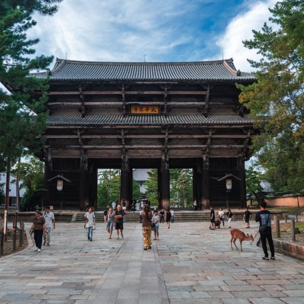 A 13-Day curated Family Adventure blending Anime fun, sacred landscapes and Japan's most engaging City Experiences.