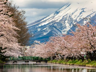 First time in Japan for a Family through Tokyo, Mount Fuji, Kyoto, Nara & Osaka in 8 Days