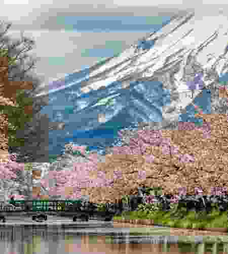 First time in Japan for a Family through Tokyo, Mount Fuji, Kyoto, Nara & Osaka in 8 Days