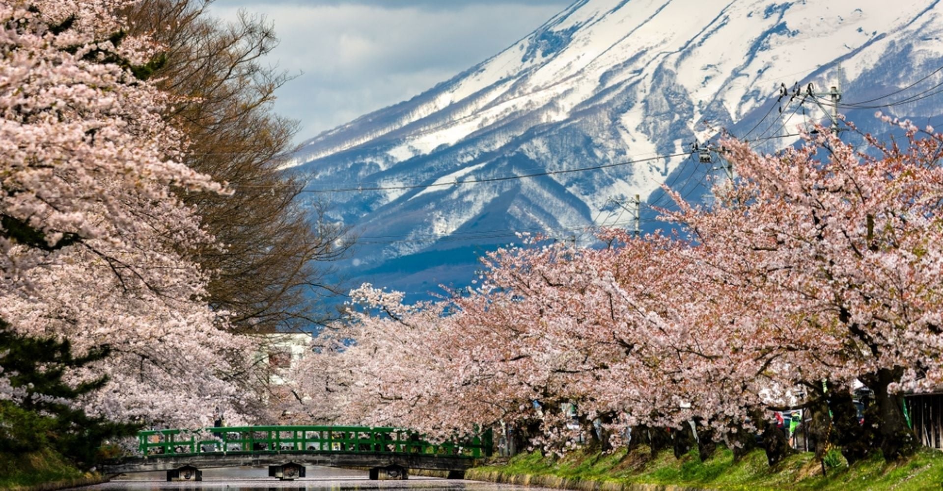 First time in Japan for a Family through Tokyo, Mount Fuji, Kyoto, Nara & Osaka in 8 Days