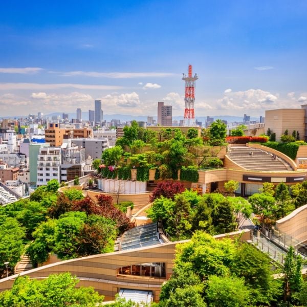First time in Japan for a Family through Tokyo, Mount Fuji, Kyoto, Nara & Osaka in 8 Days