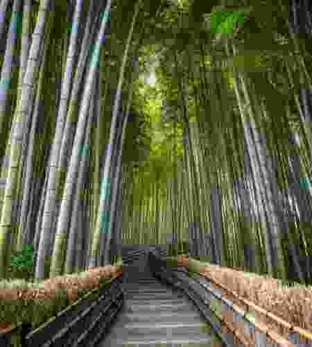 Sacred Shikoku: A 13-Day Pilgrimage & Cultural Journey from Kyoto to Osaka