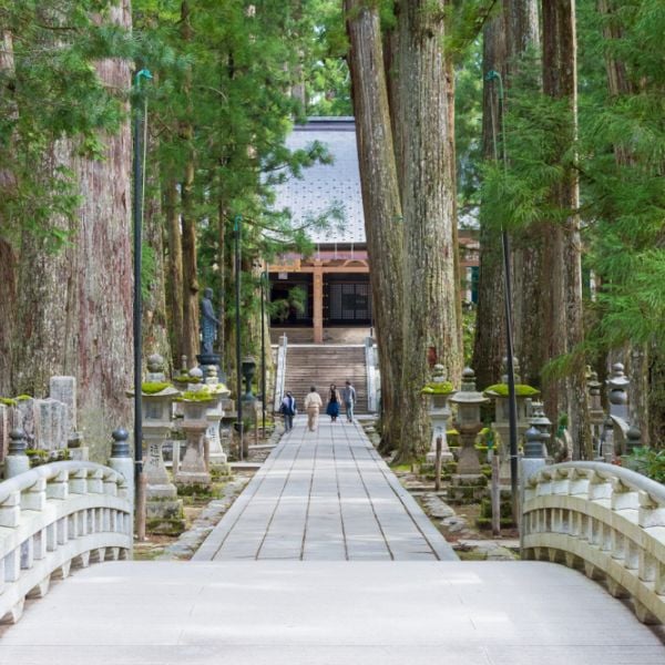 Sacred Shikoku: A 13-Day Pilgrimage & Cultural Journey from Kyoto to Osaka