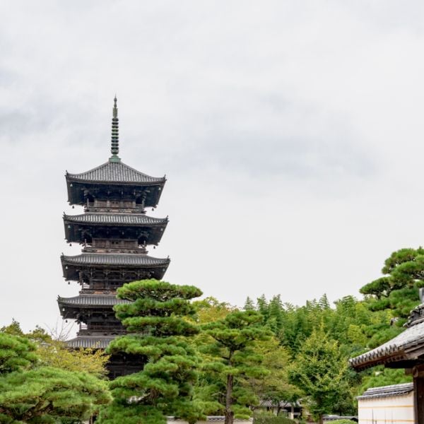 Sacred Shikoku: A 13-Day Pilgrimage & Cultural Journey from Kyoto to Osaka