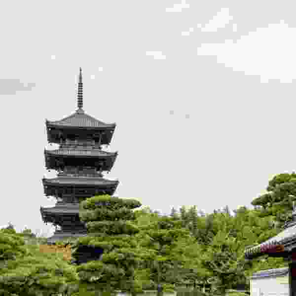 Sacred Shikoku: A 13-Day Pilgrimage & Cultural Journey from Kyoto to Osaka