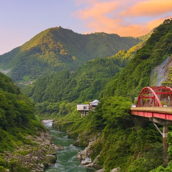 Sacred Shikoku: A 13-Day Pilgrimage & Cultural Journey from Kyoto to Osaka