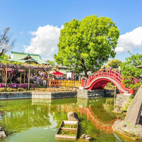 Sacred Shikoku: A 13-Day Pilgrimage & Cultural Journey from Kyoto to Osaka