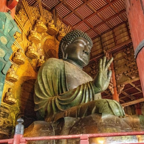 Discover, through hands-on Experiences for All Ages, Tokyo, Kamakura, Mount Fuji, Kyoto and Osaka in 9 Days