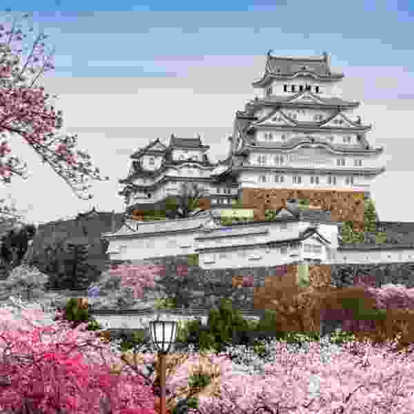 This is a Family Journey from Tokyo to Kyoto, Osaka & Okinawa in 13 Days