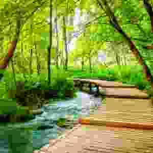 Croatia Eco/Sustainable