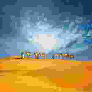 Egypt Nature & Wildlife Travel