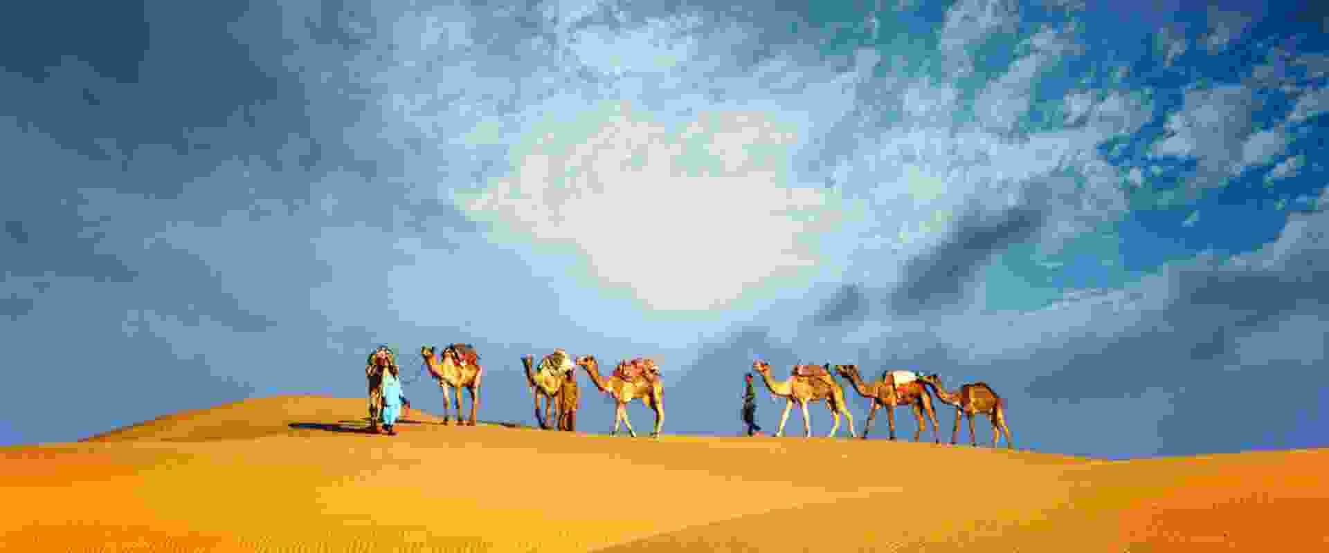 Egypt Nature & Wildlife Travel