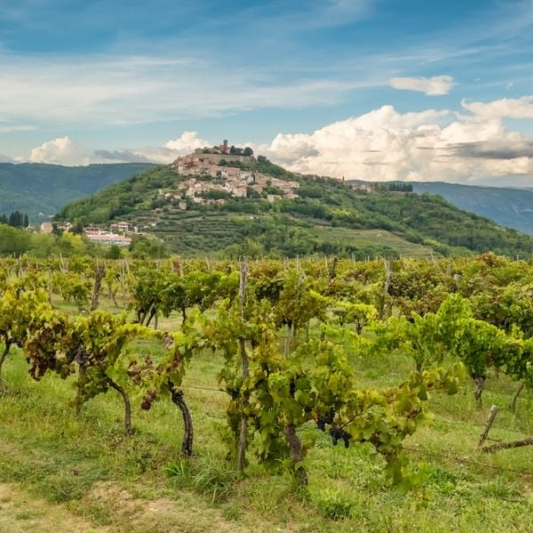 10-Day Tailored Wine & Culinary Tour in Croatia