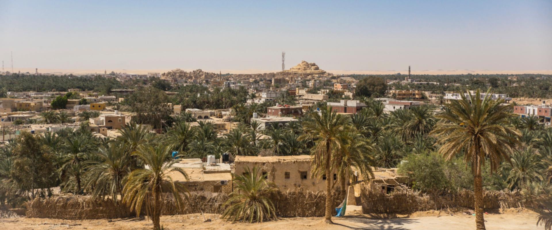 Siwa Oasis, Egypr