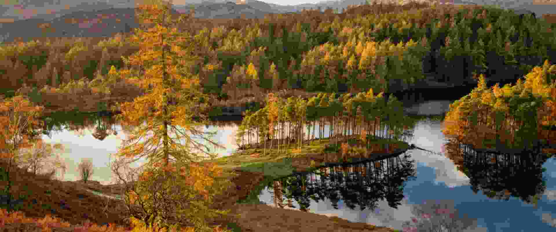 UK Relaxation & Wellness