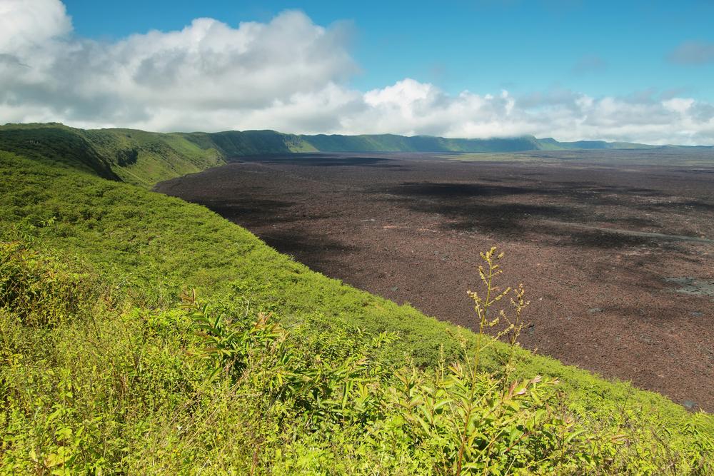 Volcanic landscape of the big crater of Sierra Negra volcano in Isabela island, Galapagos, Ecuador