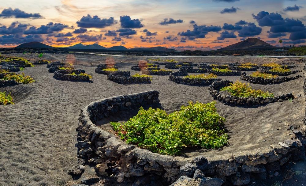 La Geria, Canary Islands, Spain