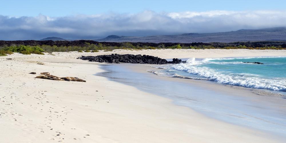 Playa Cerro Brujo, San Cristóbal Island, Galapagos