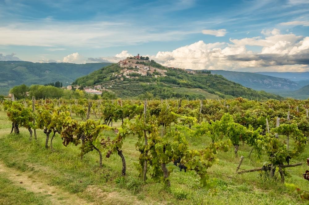 Istria winery