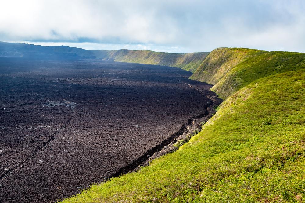 Sierra Negra volcano, Isabela Island, Galapagos Islands, Ecuador