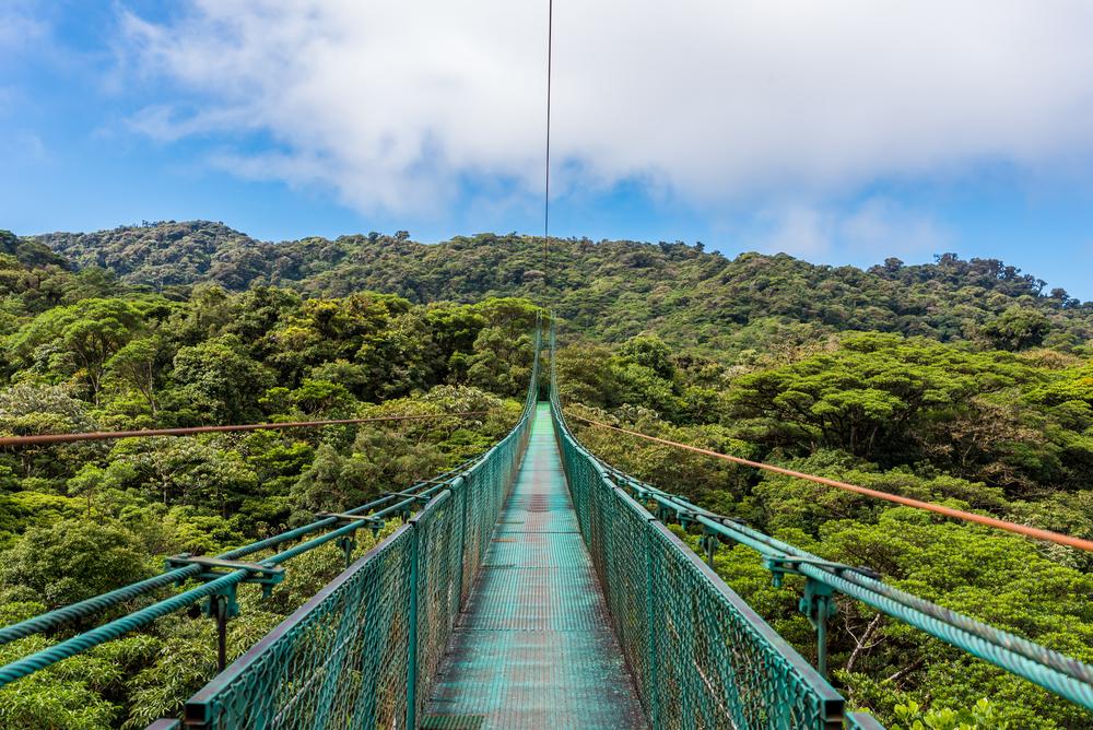 Suspension bridge, Monteverde cloud forest, Costa Rica