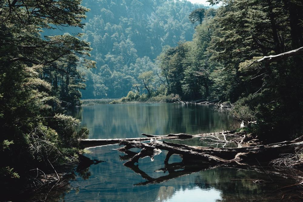Huerquehue National Park, Chile
