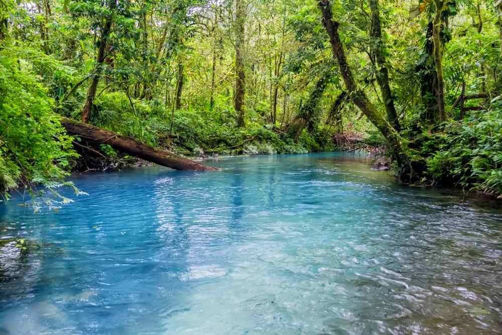 Rio Celeste, Tenorio National park, Costa Rica