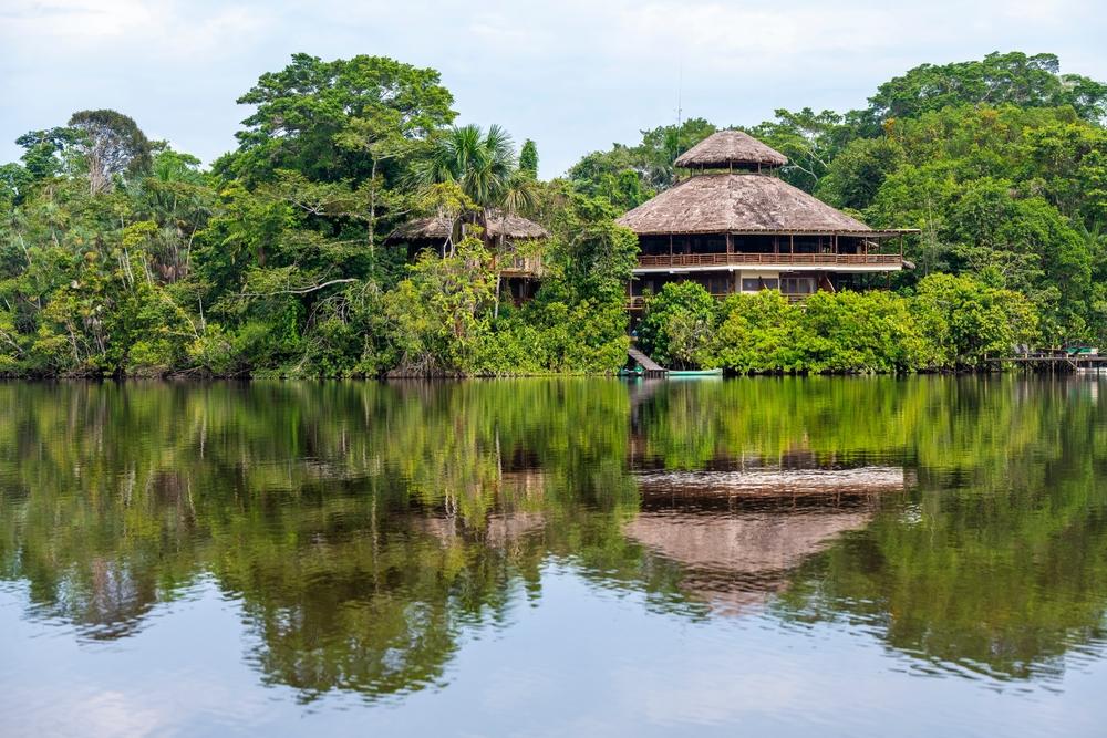 Reflection of the Amazon rainforest, Yasuni National Park, Ecuador
