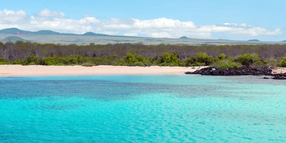 The beach of North Seymour Island for snorkeling, Galapagos National Park, Ecuador