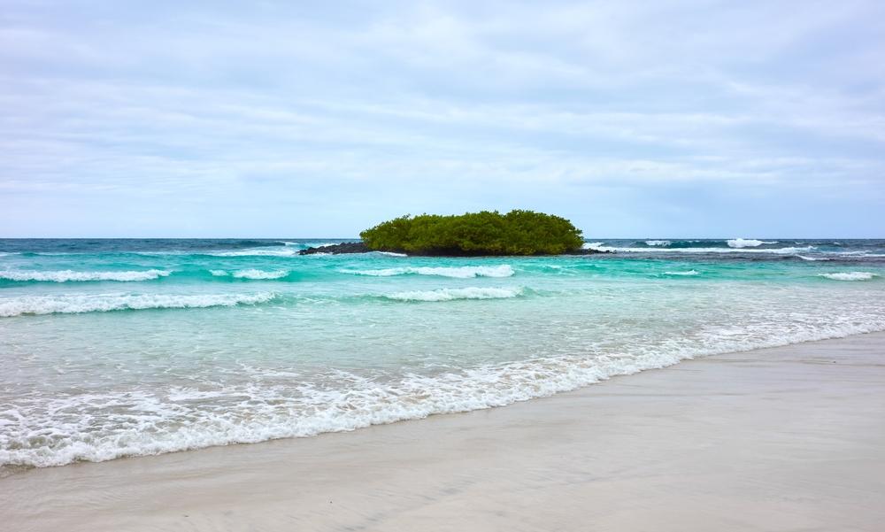 Tortuga Bay Beach, Santa Cruz Island, Galapagos Islands, Ecuador