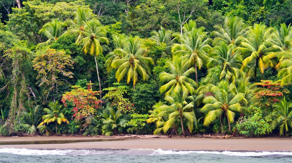Ballena Marine National Park, Uvita de Osa, Costa Rica