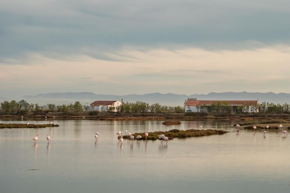 Albufera Natural Park in Valencia, Spain