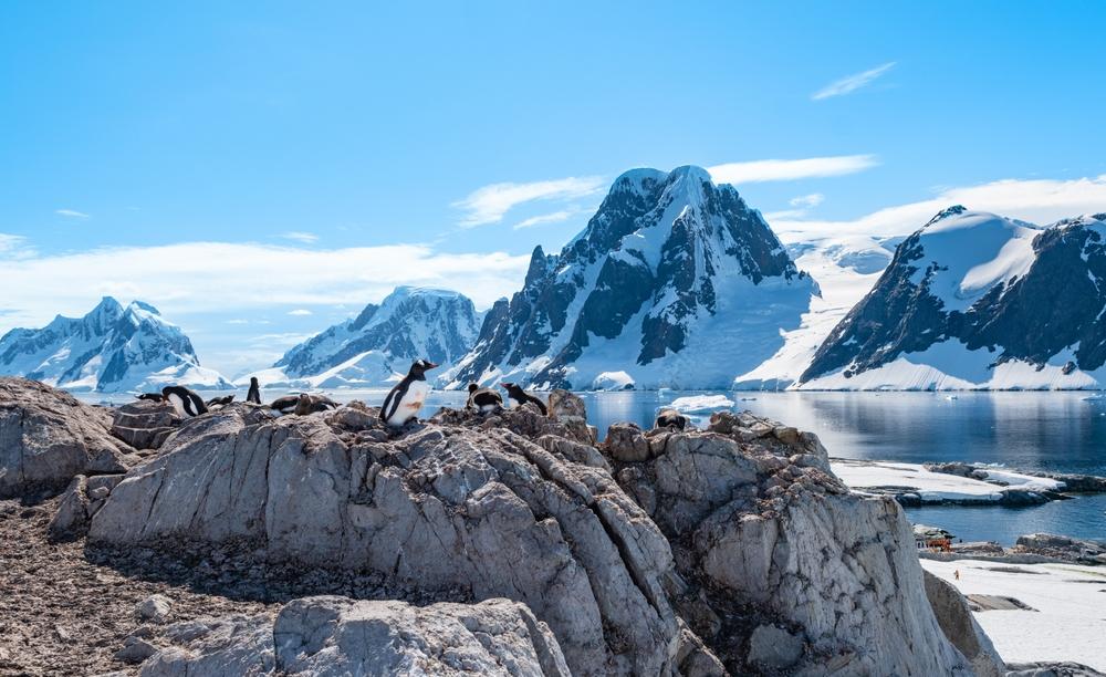 Penguin Colony on Rocks at Petermann Island, Antarctica, Argentina