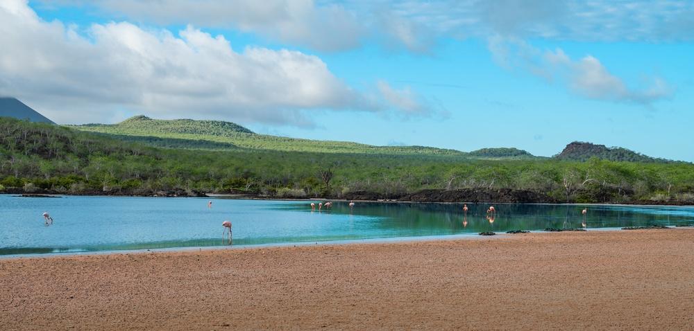 Flamingo Bay and Beach, Punta Cormorant, Galapagos, Ecuador