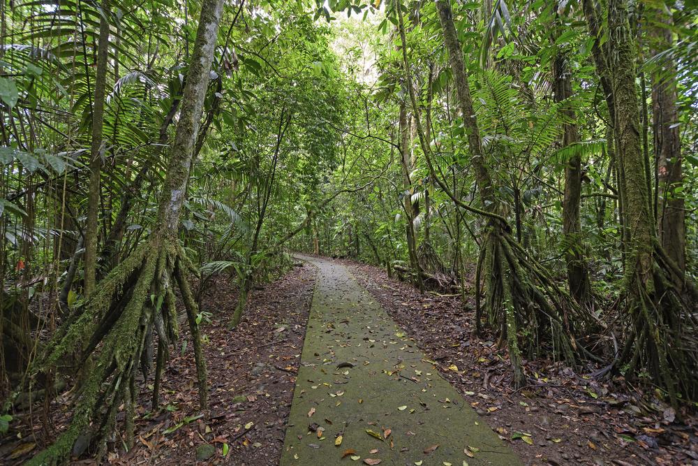 Sarapiqui, Costa Rica