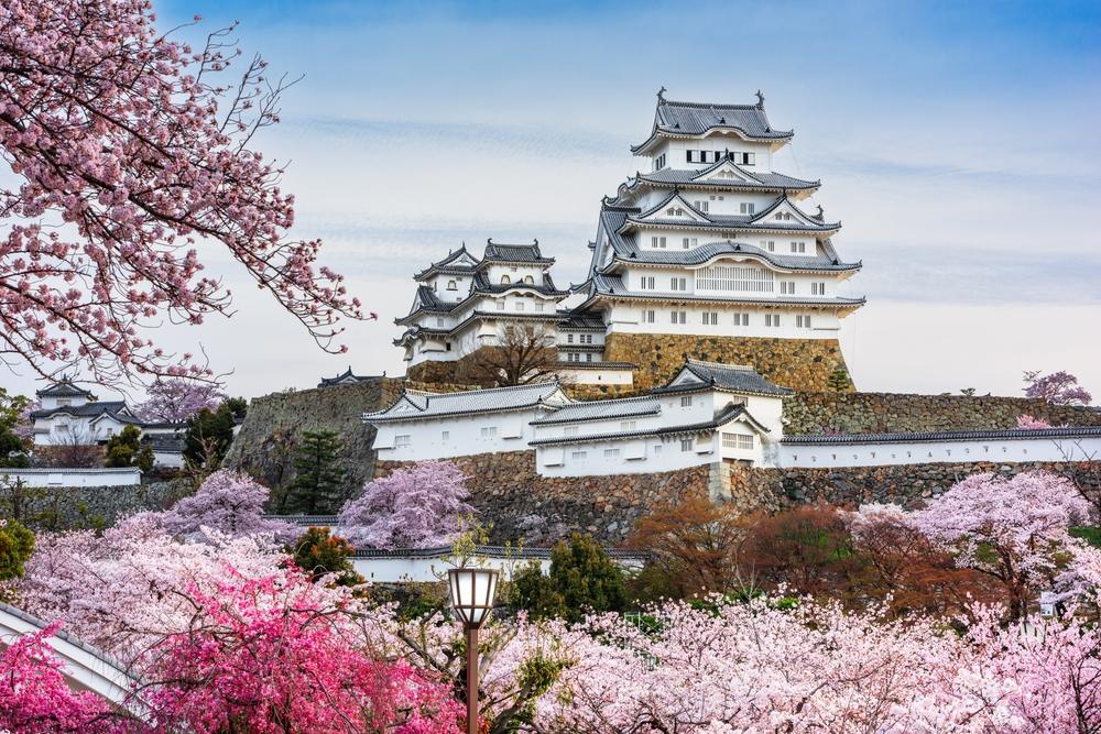 Himeji Castle cherry blossom season, Himeji, Japan