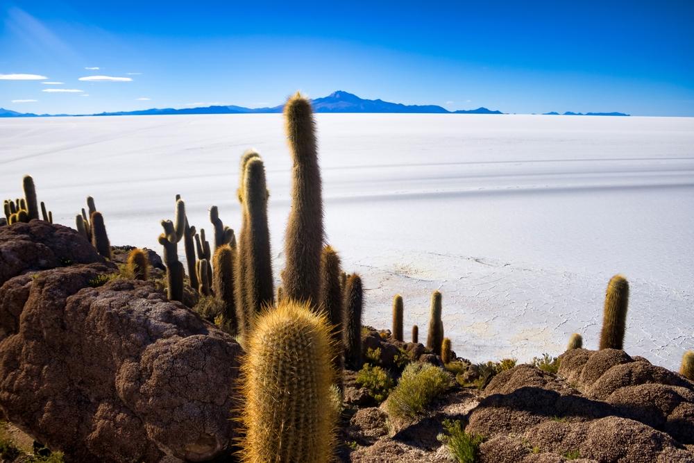 Salar de Uyuni, Altiplano, Bolivia