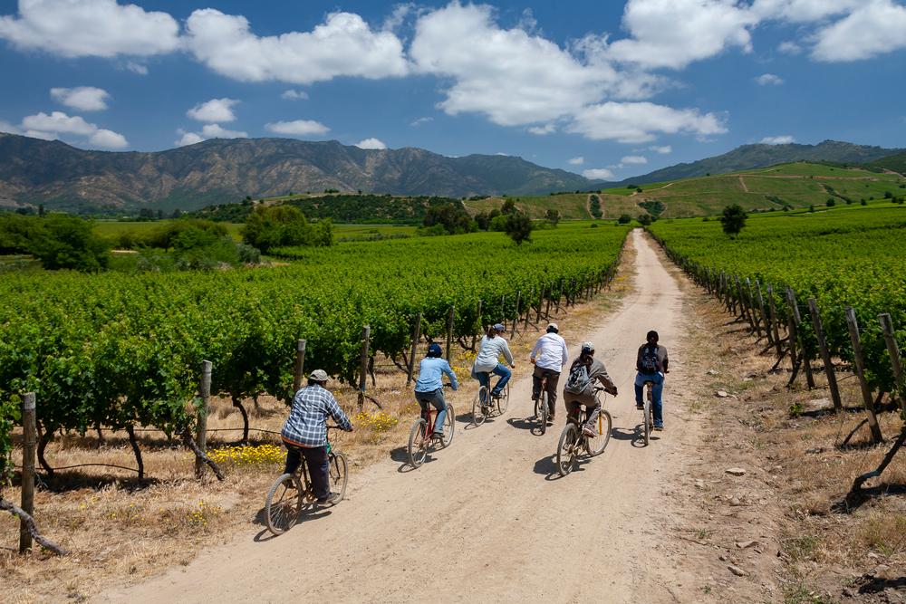 Maipo Valley, Chile