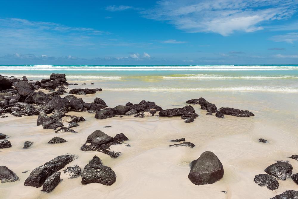 Tortuga Beach with volcanic rocks Santa Cruz Island, Galapagos National Park, Ecuador