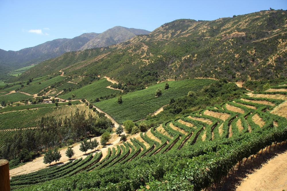 Casablanca Valley, Chile